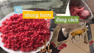 Ăn nhung hươu đúng cách như thế nào