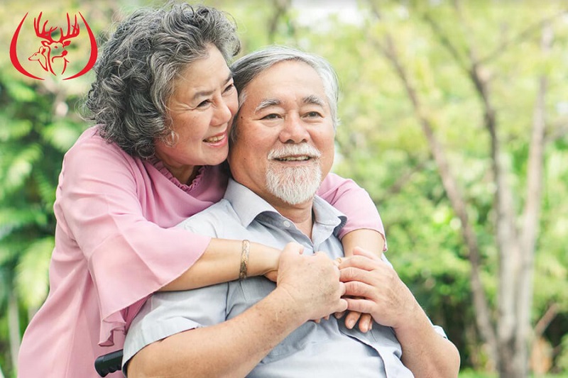 Nhung hươu với bệnh tiểu đường