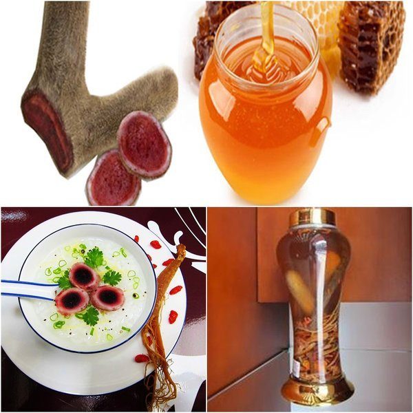 Ngâm rượu nhung hươu