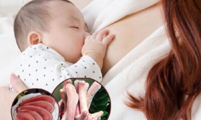 Nhung hươu rất tốt cho phụ nữ sau khi sinh