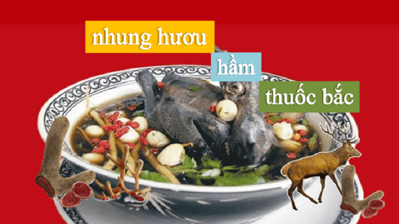nhung hươu hầm thuốc bắc cực kỳ bổ dưỡng
