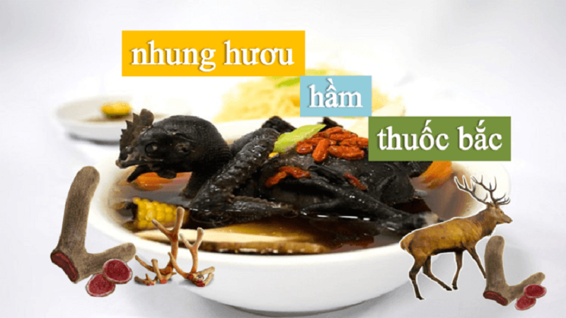 Nhung hươu hầm thuốc bắc với gà ác