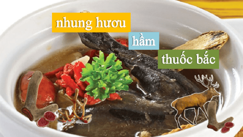 Nhung hươu hầm thuốc bắc với gà