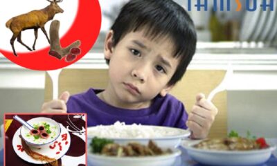nhung hươu cho trẻ em