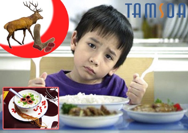 nhung hươu cho trẻ em