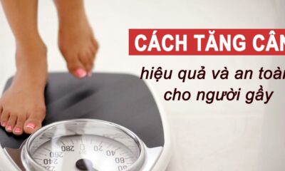 Nhung hươu tăng cân