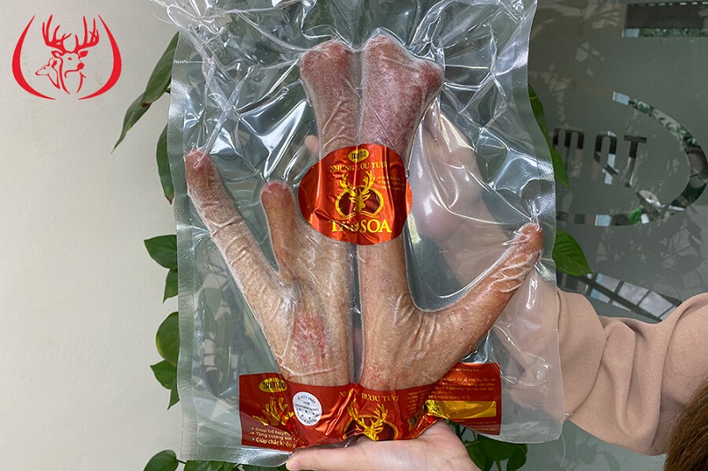 Nhung hươu Hương Sơn cao cấp