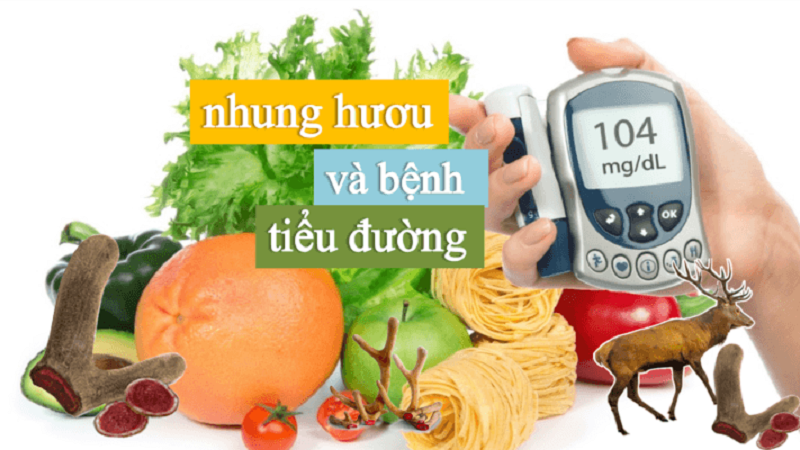 Cách sử dụng nhung hươu cho người tiểu đường