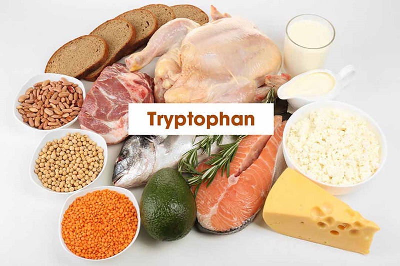 Các thực phẩm chứa Amino Acid Tryptophan hỗ trợ tăng cường sinh lực nam giới