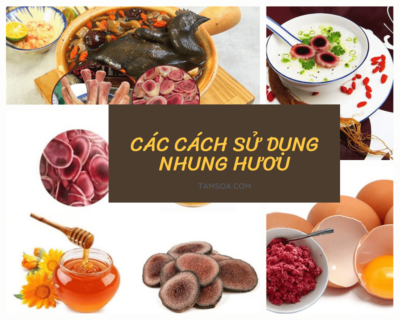 Ăn nhung hươu thế nào để đạt được tác dụng tốt nhất?