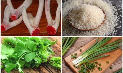 Nguyên liệu nấu cháo nhung hươu tươi