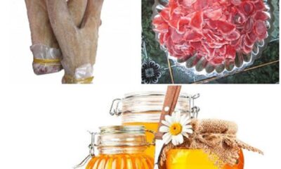 Nhung hươu tươi ngâm mật ong rất tốt cho sức khỏe phụ nữ