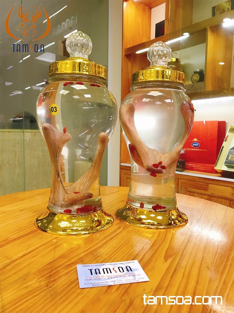 Ngâm rượu nhung hươu