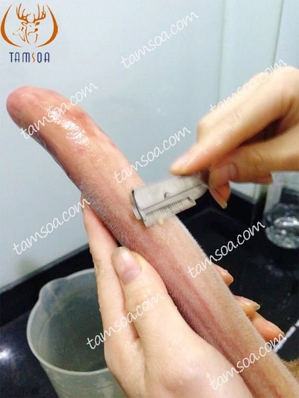 Cách sơ chế nhung hươu