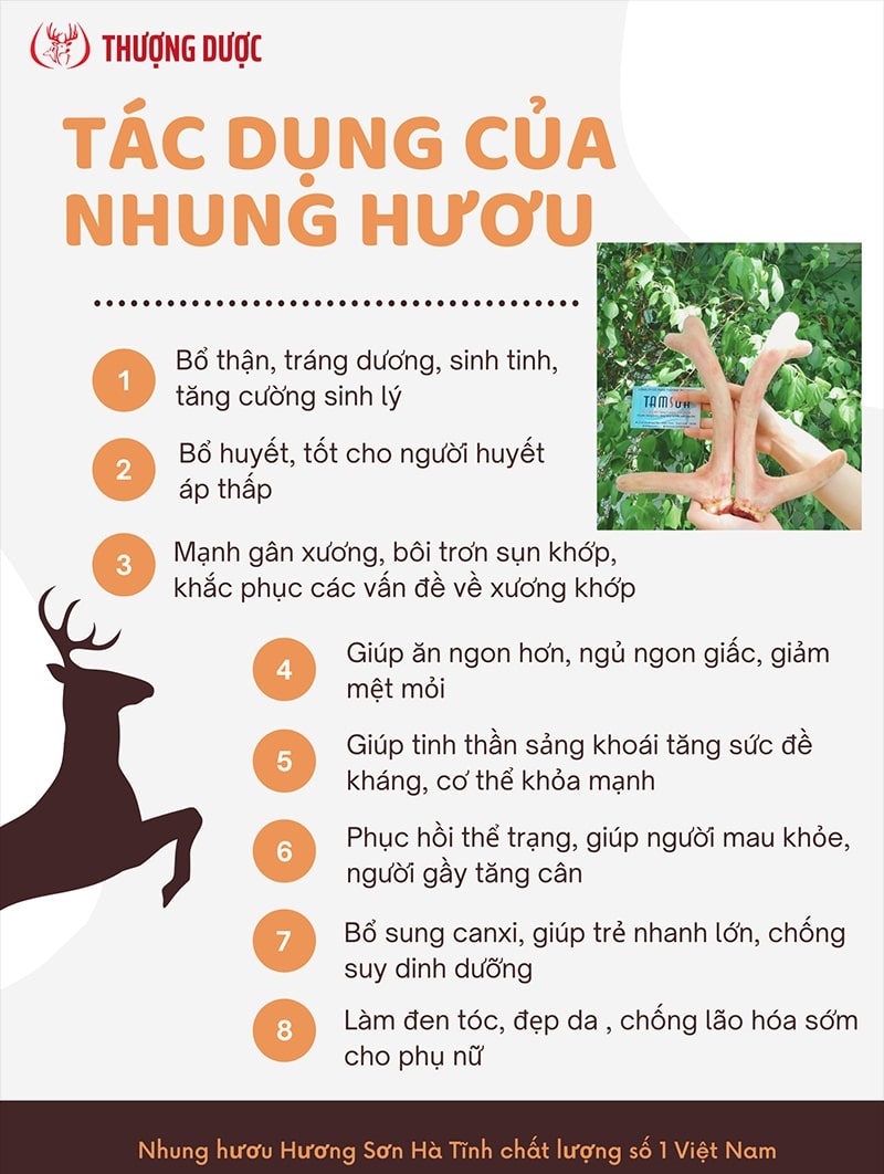 Tác dụng của nhung hươu