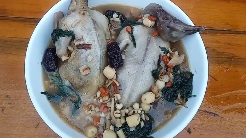 Canh bồ câu hầm thuốc bắc bồi bổ cơ thể rất rốt