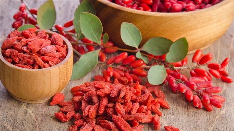 Quả kỳ tử chứa nhiều dưỡng chất tốt cho sức khỏe
