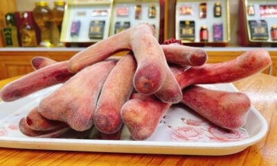 Dùng nhung hươu cho người cao tuổi mang lại lợi ích gì