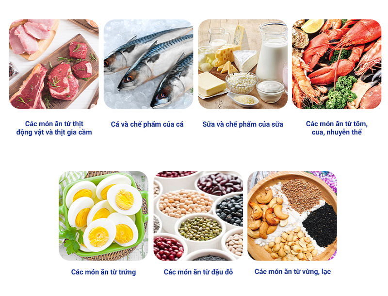 Chất đạm không thể thiếu trong mọi bữa ăn của mẹ