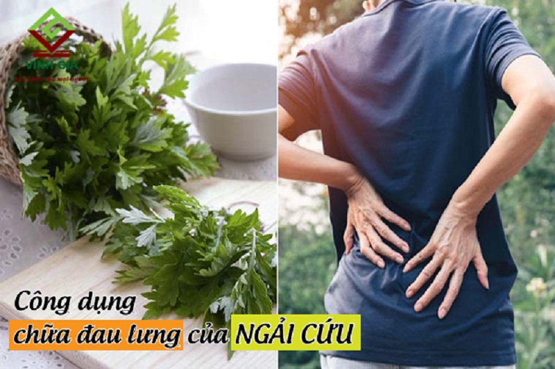 Nước ngải cứu mật ong giúp chữa đau lưng cho phụ nữ sau sinh