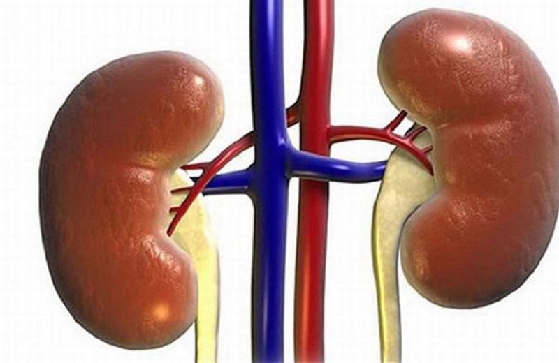 Suy thận là nguyên nhân khiến người gầy yếu xanh xao
