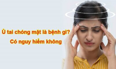 Gián đoạn công việc bởi hoa mắt chóng mặt ù tai