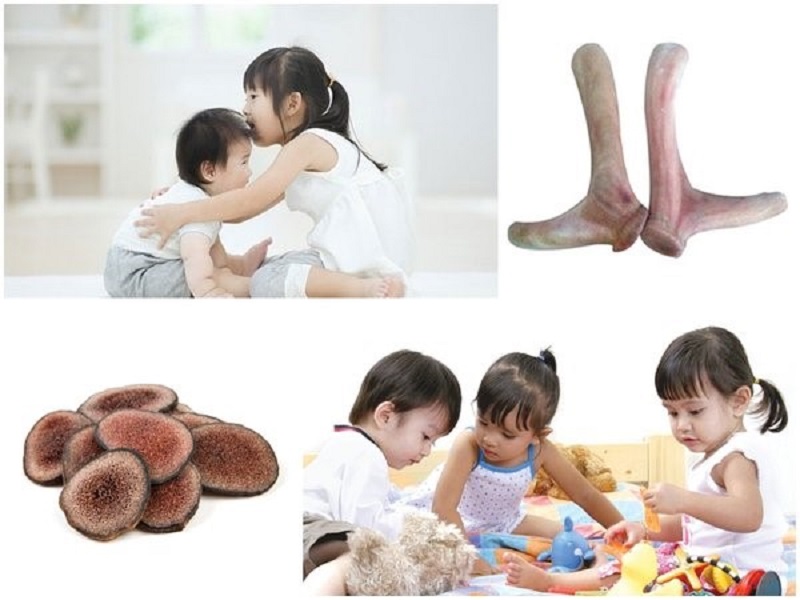 Lộc nhung giúp hỗ trợ về thể chất và trí tuệ cho trẻ nhỏ
