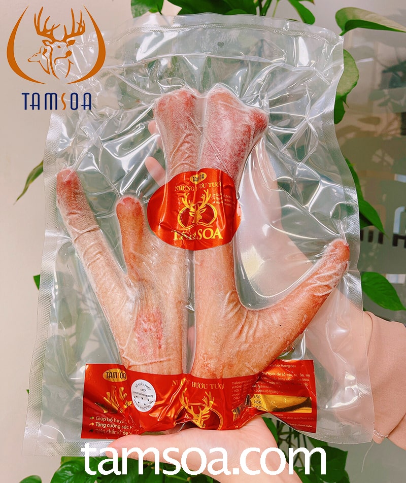 Mua nhung hươu cần cẩn trọng, tránh hàng giả, kém chất lượng