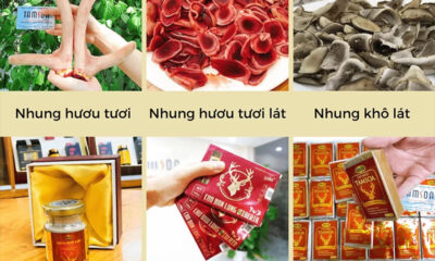 Công ty Cổ phần Thương mại Tamsoa