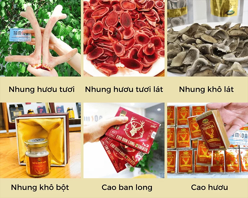 Công ty Cổ phần Thương mại Tamsoa