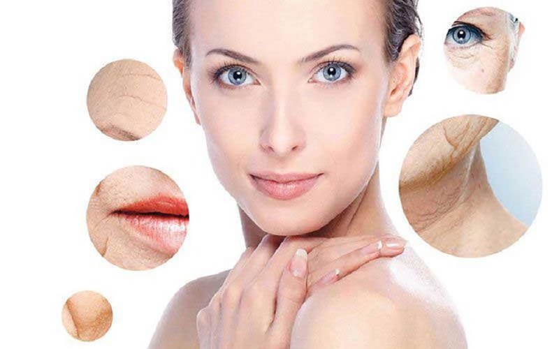 Nhung hươu có tác dụng làm chậm quá trình lão hóa, giúp da dẻ mịn màng