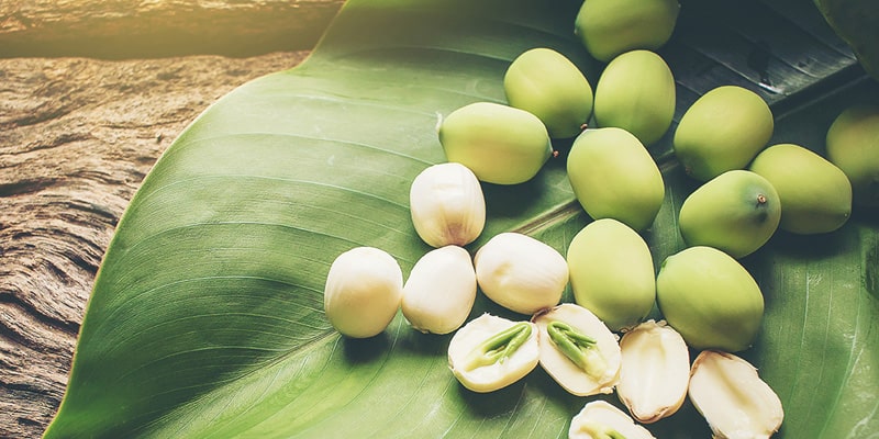 Hạt sen có vị ngọt, tính bình, có tác dụng an thần, giúp ngủ ngon