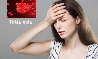 Thiếu máu là nguyên nhân khiến cơ thể gầy yếu mệt mỏi
