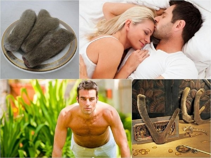 Nhung hươu giúp tăng sức bền, phát triển cơ cho người chơi thể thao