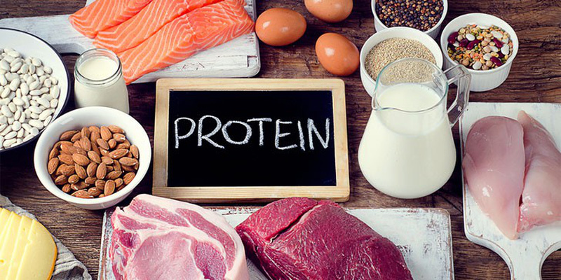Protein – Dưỡng chất thiết yếu của cơ thể