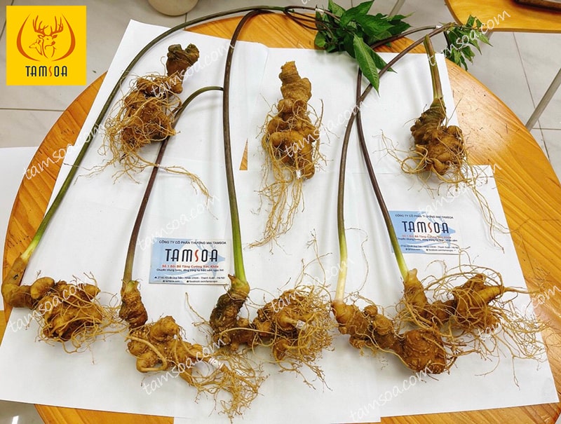 Hệ thống đại lý phân phối, cửa hàng trên toàn quốc