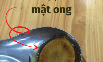 Công dụng tuyệt vời của Sâm ngâm mật ong.
