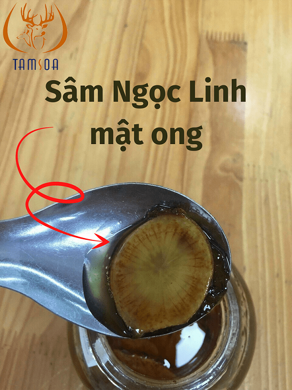 Công dụng tuyệt vời của Sâm ngâm mật ong.
