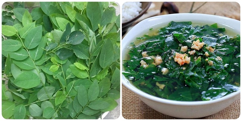 Người thiếu máu cần bổ sung canh rau ngót vào thực đơn ăn uống