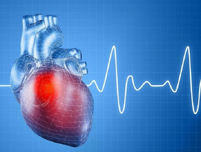 So sánh nhịp tim bình thường và tim đập nhanh