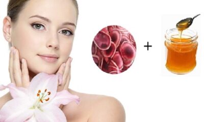 Lộc nhung có tác dụng làm đẹp, đào thải cặn bã