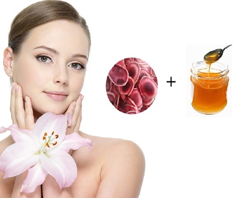 Lộc nhung có tác dụng làm đẹp, đào thải cặn bã