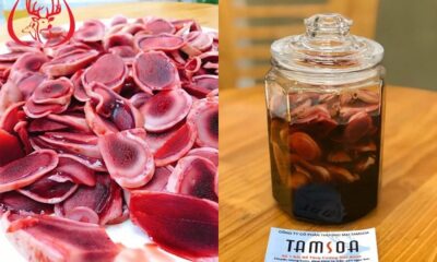 Sự kết hợp giữa nhung hươu và mật ong mang lại nhiều hiệu quả vượt trội cho sức khoẻ