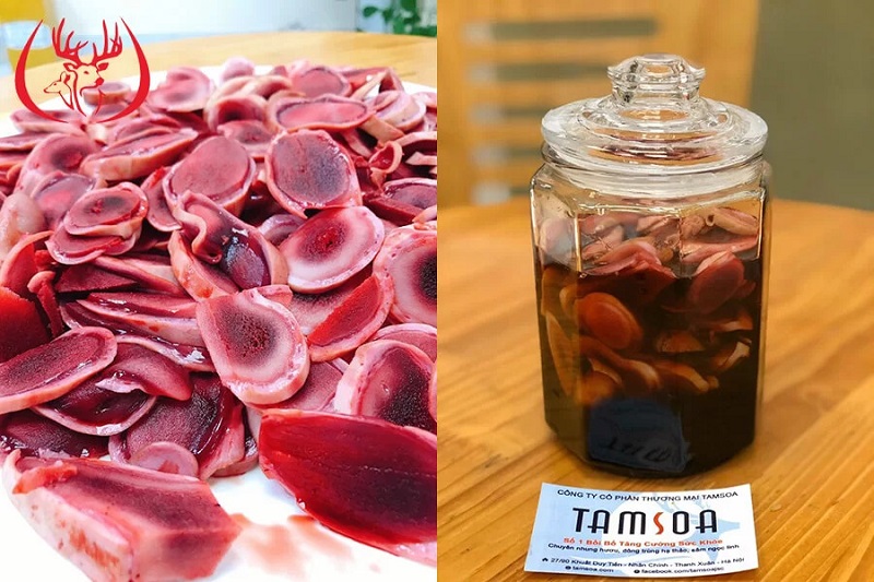 Sự kết hợp giữa nhung hươu và mật ong mang lại nhiều hiệu quả vượt trội cho sức khoẻ
