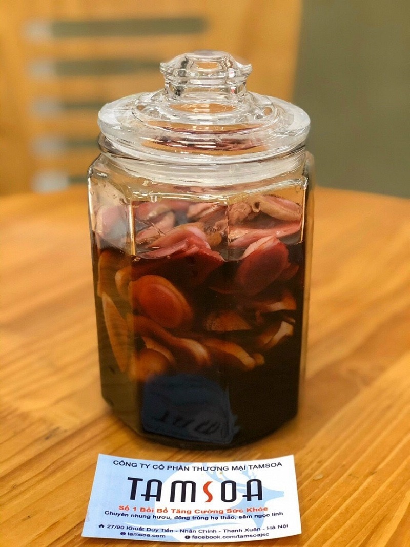 nhung hươu ngâm mật ong