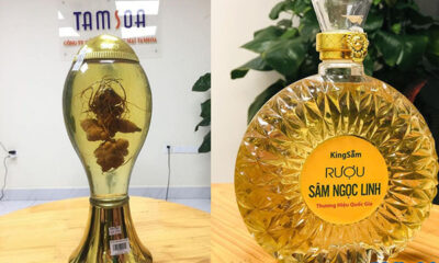 Rượu Sâm Ngọc Linh Quảng Nam Tamsoa được trưng bày tại showroom