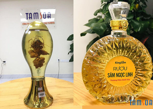 Rượu Sâm Ngọc Linh Quảng Nam Tamsoa được trưng bày tại showroom