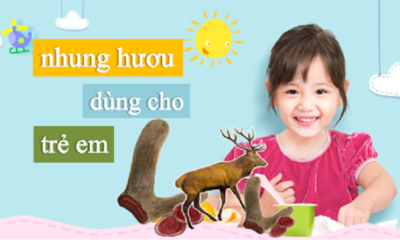 Nhung hươu có tác dụng gì mà trẻ em nên dùng?