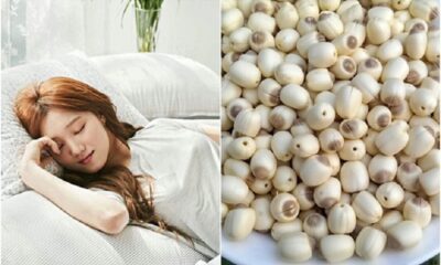 Hạt sen có tác dụng an thần, tốt cho giấc ngủ