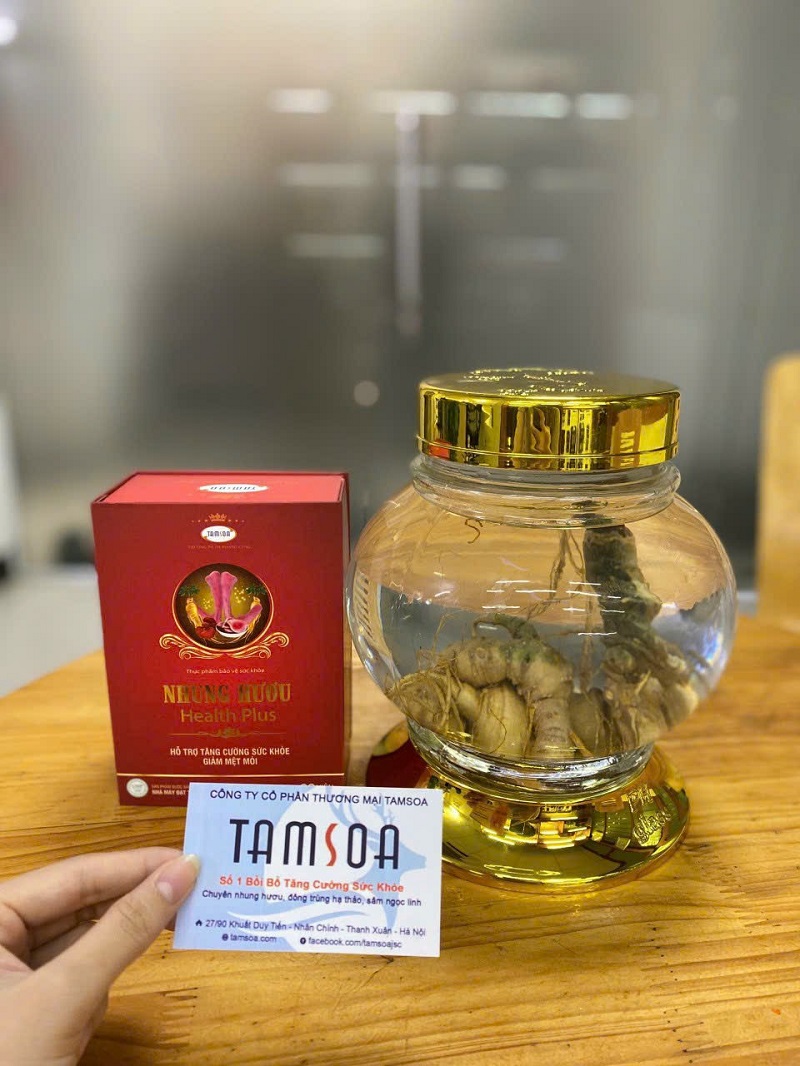 Suy nhược cơ thể điều trị bằng Viên uống nhung huơu Health Plus mang lại hiệu quả rõ rệt